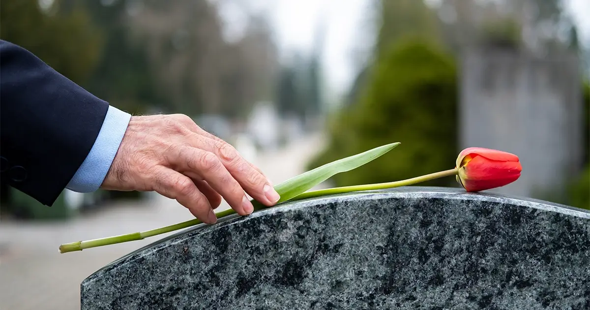 tulip on a grave