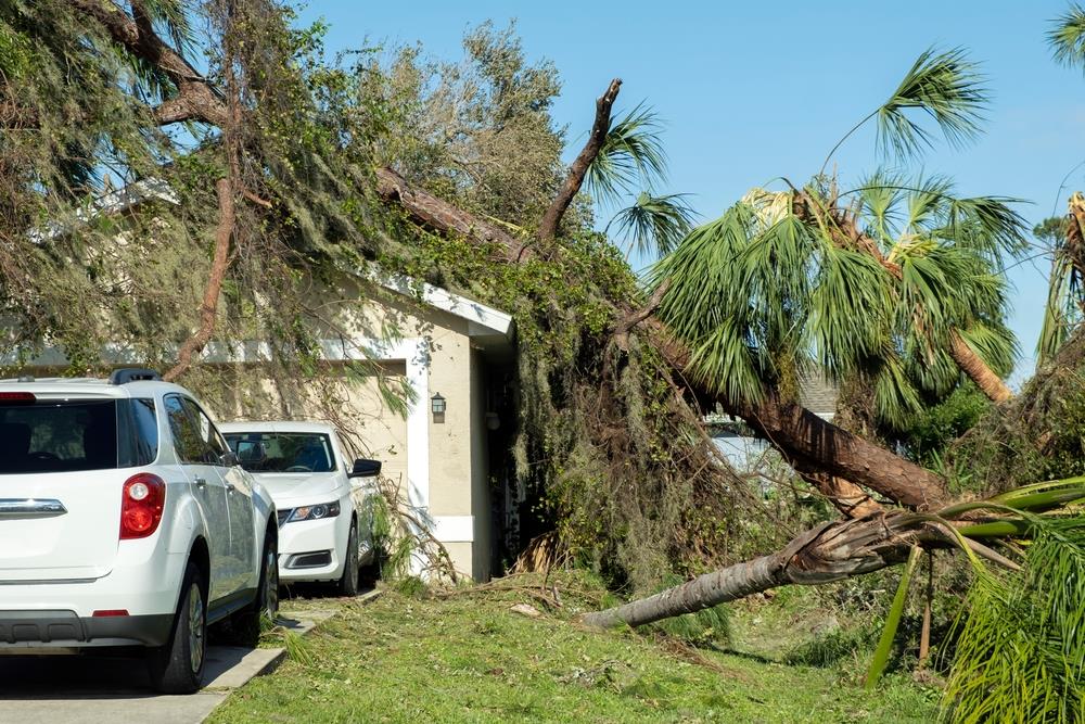 Reasons to Hire a Florida Hurricane Lawyer